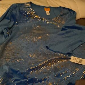 Ruby Rd, 2X blue velour top